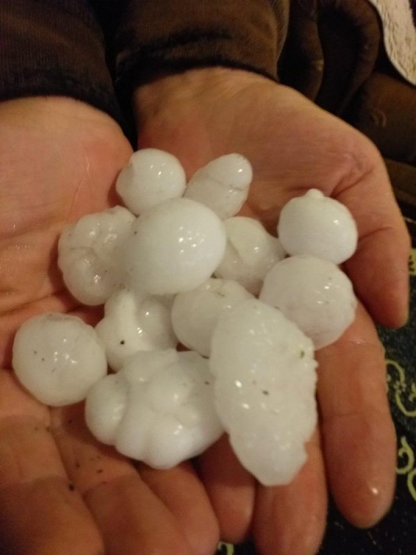 1654018296-284509166-1202475447194044-7159007519333253156-n-750x1000