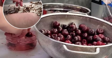 DOMAĆICE SE KUNU U OVAJ NAČIN ČIŠĆENJA KOŠPICA IZ TREŠANJA: Nevjerovatno koliko je prosto (VIDEO)