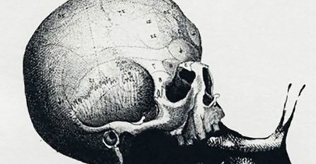 DOBRO POGLEDAJTE SLIKU I BIĆETE UVIJEK SRETNI NA POSLU! Prvo što vidite otkriva čime treba da se bavite - za to ste ROĐENI