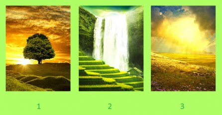 IZABERITE 1 SLIKU: Recite nam broj, a mi ćemo vam otkriti ŠTA VAŠ ODGOVOR GOVORI O VAMA