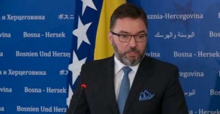 Košarac: Privremena zabrana izvoza oblovine, ogrjevnog drveta i peleta