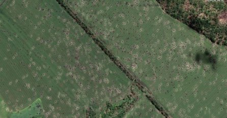 WTO: Ako Ukrajina ne uspije izvesti žitarice, mogla bi uslijediti katastrofa