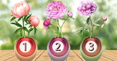 TEST/ ODABERITE CVIJET POŽURA: Otkrivamo vašu poruku za narednih 7 dana