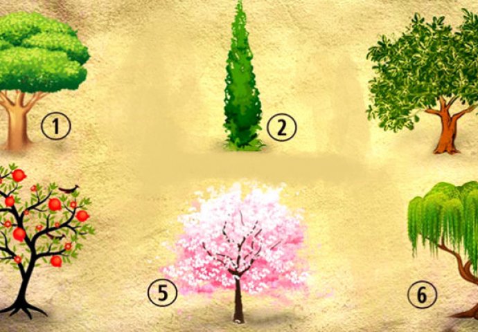 TEST LIČNOSTI: Koje biste stablo posadili u svom vrtu? EVO ŠTA TO GOVORI O VAMA