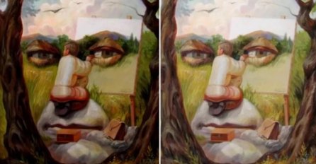 OVAJ TEST OTKRIVA SKRIVENU STRANU VAŠE LIČNOSTI: Evo šta govori o vama ono ŠTO PRVO VIDITE NA SLICI