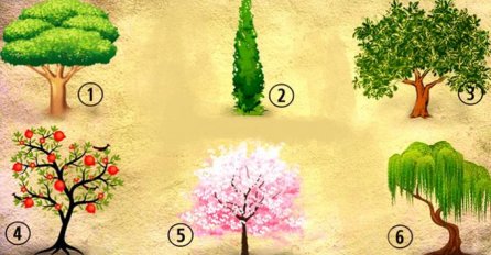 BRZI TEST - Izaberite neko stablo: Otkrivamo ono što niste znali o sebi 