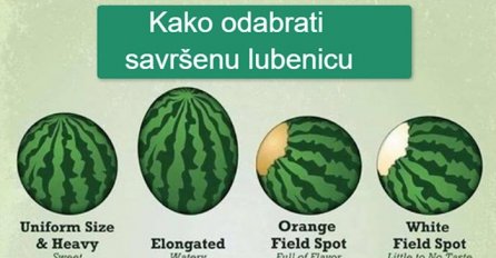 Ova odlična infografika pokazuje kako uvijek odabrati savršenu lubenicu: VIŠE SE NIKADA NEĆETE ZEZNUTI (FOTO)