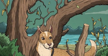 PSA ODLIČNO VIDITE, A MOŽETE LI PRONAĆI MAČKU NA SLICI: Samo rijetki je odmah uoče