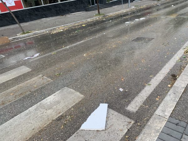 1656001271-image00006-1024x768