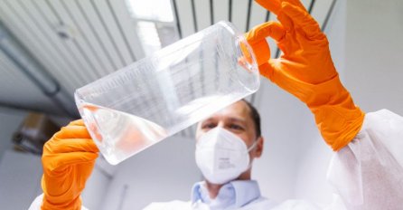 Potvrđen prvi slučaj majmunskih boginja u susjednoj zemlji 