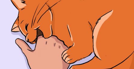 ZNATE LI ZAŠTO VAS VAŠA MAČKA GRIZE ZA RUKE: Obratite pažnju, evo šta to znači 