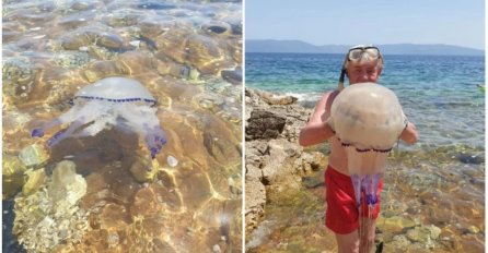 U Jadranu snimljena ogromna 'morska pluća': "Opekla nas je, teška je nekoliko kg"