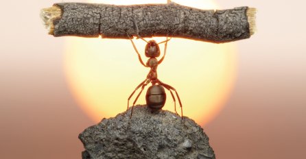 POUČNA PRIČA:Kad ti sve krene nizbrdo, sjeti se ove priče