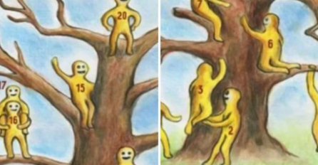 PSIHO-EMOTIVNI TEST: Gdje ste vi na ovom drvetu, a gdje biste željeli biti? 