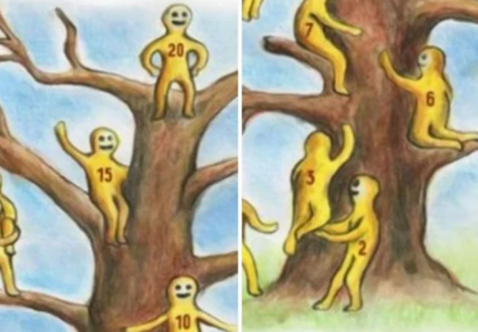 PSIHO-EMOTIVNI TEST: Gdje ste vi na ovom drvetu, a gdje biste željeli biti?