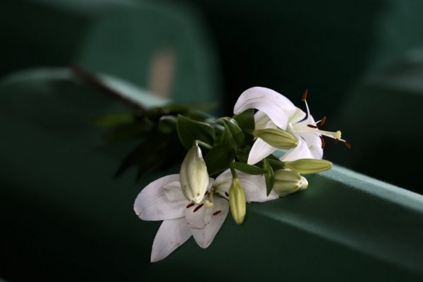 1657459991-at5a6849-1024x683