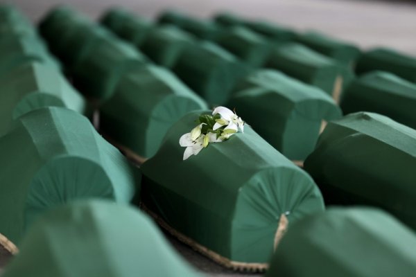 1657459978-at5a6871-1024x683