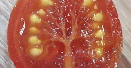 VIDITE LI ŠTA JE ČUDNO NA OVOJ SLICI: Hiljade ljudi podijelilo  sliku - VIDITE LI ZBOG ČEGA 