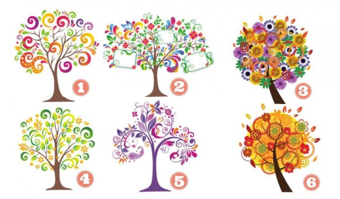 test-izaberite-drvo-i-saznajte-koje-su-vase-najjace-osobine-72459586-35929198