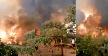 Hrvatska - Porodica iz Zatona usred požara: “Kanader je polio vatru i spasio nas!” (VIDEO)