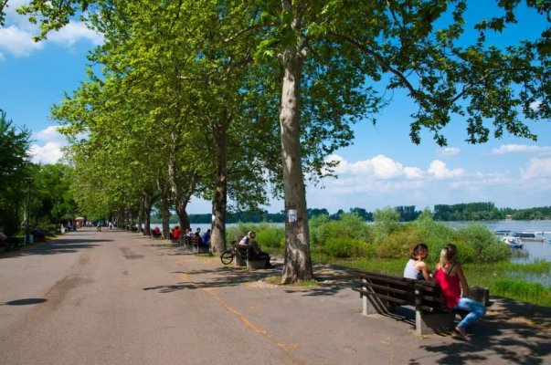 91020-dunav-profimedia-ff