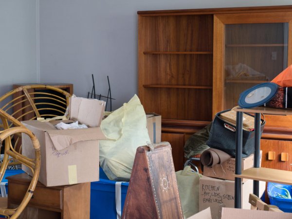 237767-shutterstock-1172592304-ff