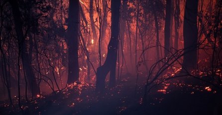 Njemački klimatolog: Vrijeme je isteklo, idemo prema katastrofi