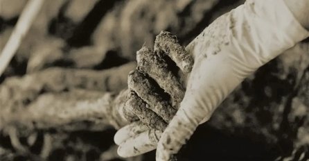 Srebrenički genocid kroz svedočenja Srba: “Iz gomile ljudskih tela pojavilo se ljudsko biće. Bio je to dečak od pet-šest godina”