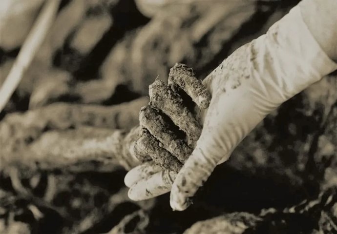 Srebrenički genocid kroz svedočenja Srba: “Iz gomile ljudskih tela pojavilo se ljudsko biće. Bio je to dečak od pet-šest godina”