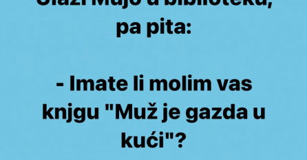 VIC DANA: Ulazi Mujo u biblioteku