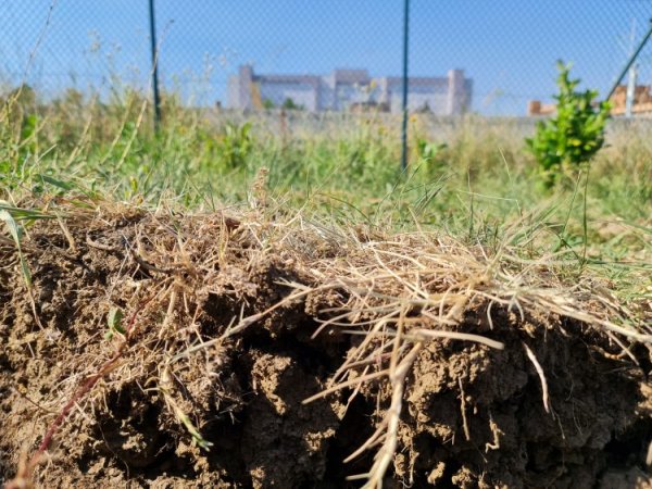 1658568060-20220722-163852-750x563