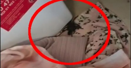 VRATILA SE SA POPULARNOG LJETOVALIŠTA, PA DOŽIVJELA ŠOK: U koferu zatekla OVO STVORENJE (VIDEO)