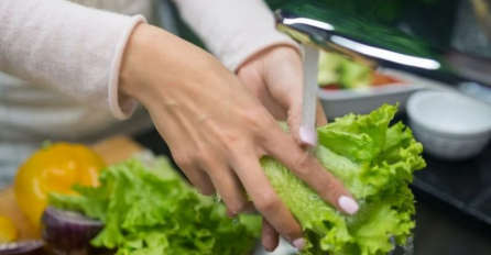 Simptomi i liječenje: 3 česta uzročnika trovanja hranom ljeti 