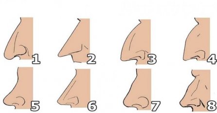 KAKAV NOS, TAKAV KARAKTER:  Evo šta oblik nosa otkriva o vama, TEST LIČNOSTI KOJI JE 100% TAČAN 