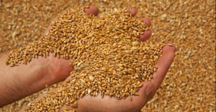 Ukrajinsko žito (ne) vraća u rikverc cijene hrane