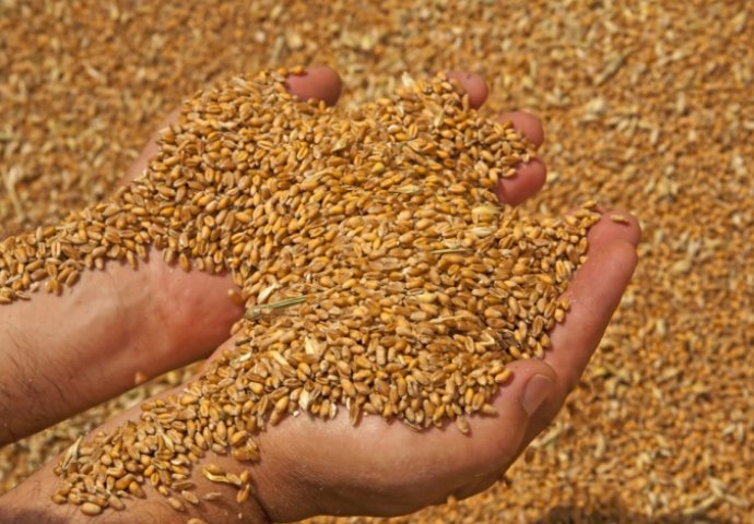 Ukrajinsko žito (ne) vraća u rikverc cijene hrane