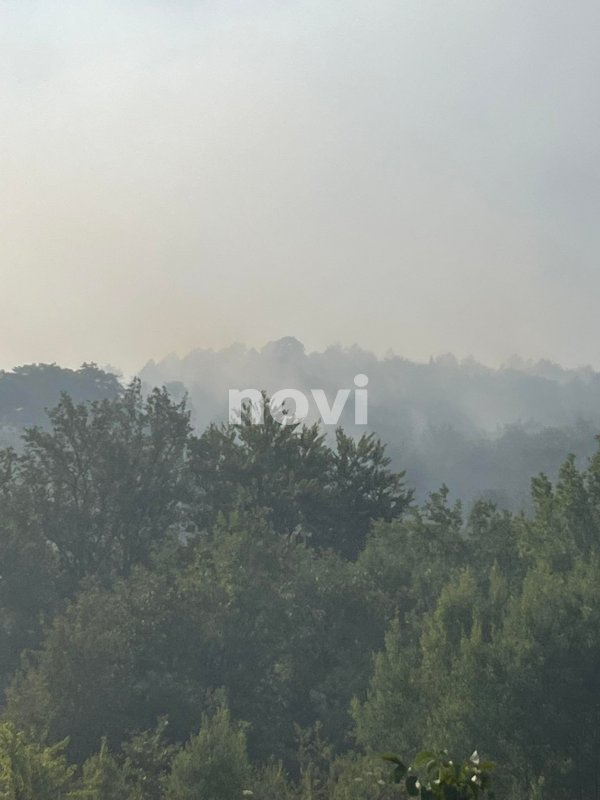 296849855-733542731052811-4672192784474304695-n