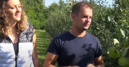 IVANA I MATIJA RADILI KAO SEZONCI, SPAVALI U ĆUMEZU, A ONDA POSADILI VOĆE KOJE NIKO DRUGI NEMA: Sada su najveći proizvođači u zemlji