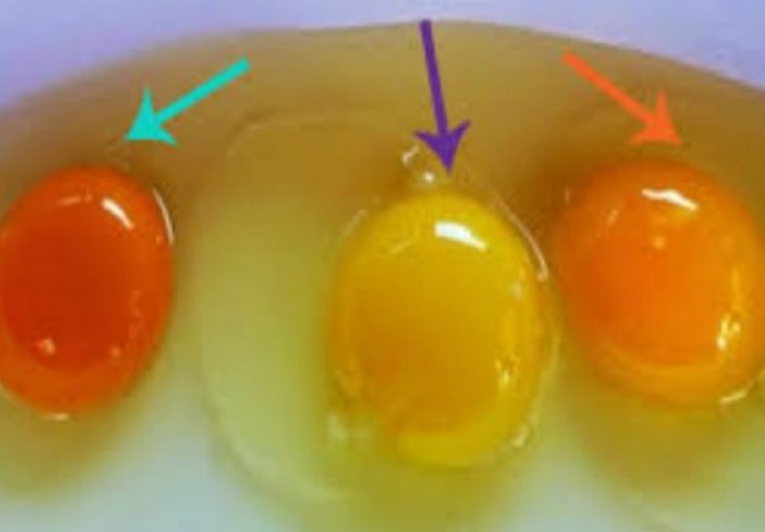 Trikovi kako da prepoznate pokvareno jaje 