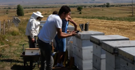 Upoznajte braću koja u BiH vode uspješan posao: Samo na medu zarade mjesečnu plaću od 1000 KM 