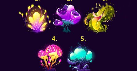 TEST:Odaberite magični cvijet i otkrijte gdje je izvor vaše sreće!