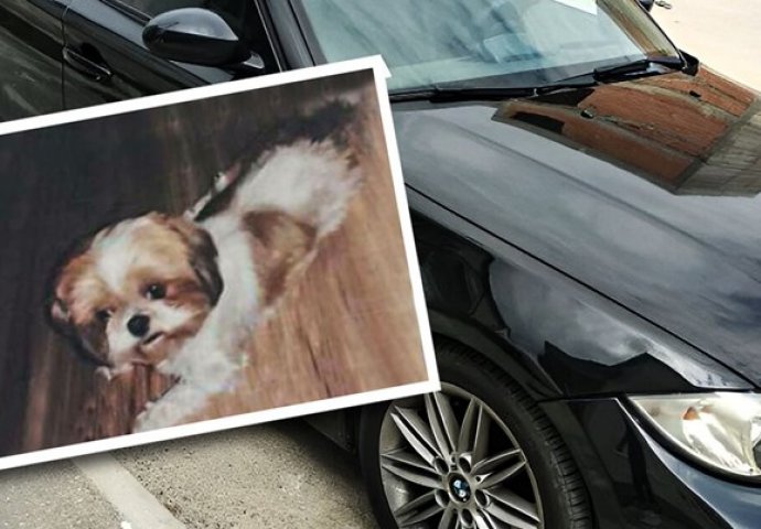 Boško nudi BMW onom ko mu pronađe psa: Dao bih i život, djeca su vezana za njega