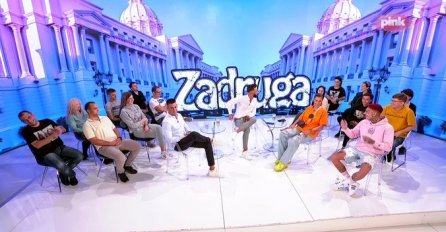 DARKO OSTAO BEZ TEKSTA - EVO ZAŠTO SU RASKINULI: Ne mogu više da kriju (VIDEO)