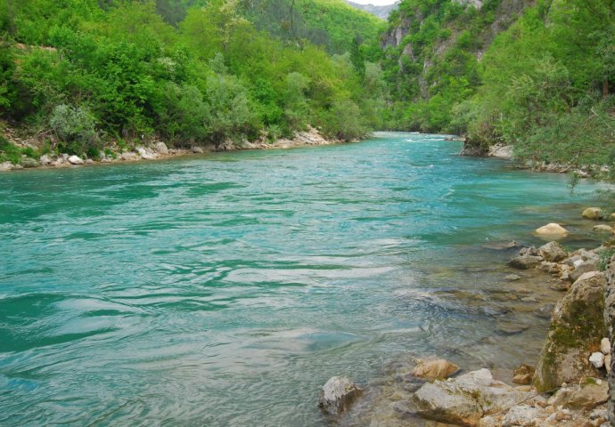 U Konjicu jučer 3 ugriza zmija otrovnica