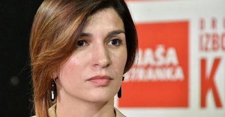 Ćudić: Srbijom se istinski upravlja iz ruske ambasade u Beogradu i iz Rusko-srpskog humanitarnog centra u Nišu