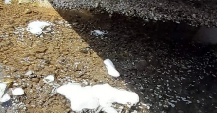 U Mostaru pomor ribe u rijeci Radobolji uzrokovan ljudskim nemarom