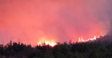 Prilikom gašenja požara na planini u BiH, povrijeđena dvojica vatrogasaca