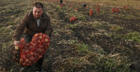 Kako preživljavaju građani: Krompir rekordno skup, a kilogram malina košta i do 15 KM