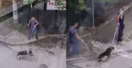 OGORČENI GRAĐANI DIJELE VIDEO Šintori u jednom sarajevskom naselju na brutalan način hvataju pse