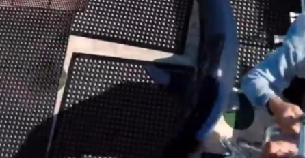 Ajkula uskočila u brod, zamalo udarila ribare ˙(VIDEO)